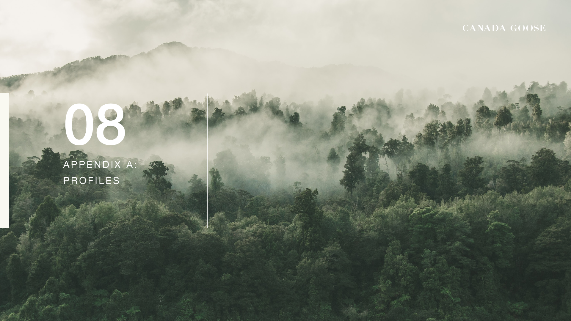 CanadaGoose_Template [Slide 13]