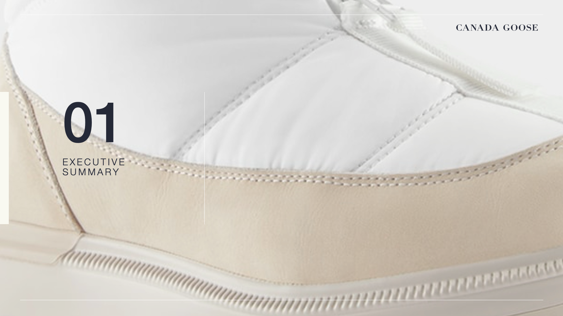 CanadaGoose_Template [Slide 3]