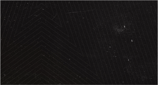 Wasserman_black_pattern_01