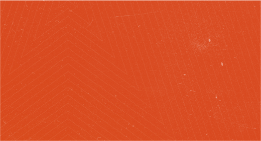 Wasserman_orange_pattern_02